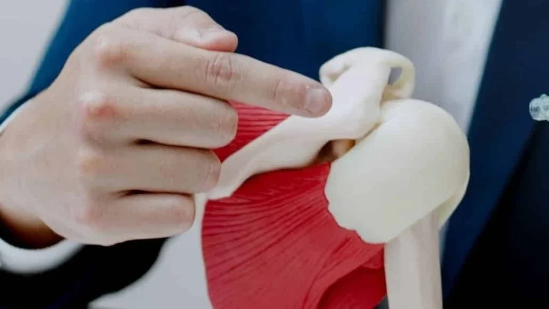 Médico mostrando o ombro em um modelo anatômico